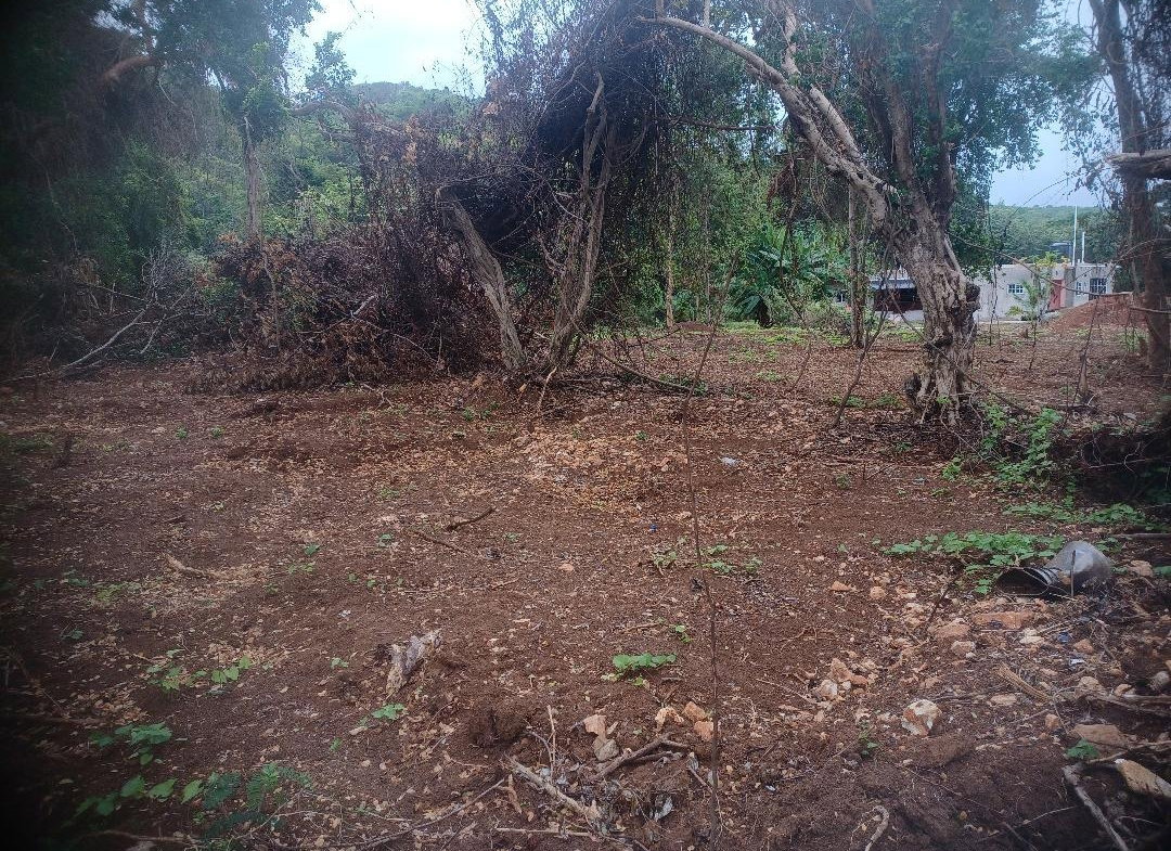 Third image of 217 Calypso Close Duncan's ba in DUNCAN BAY, Trelawny, Jamaica - property is For Sale