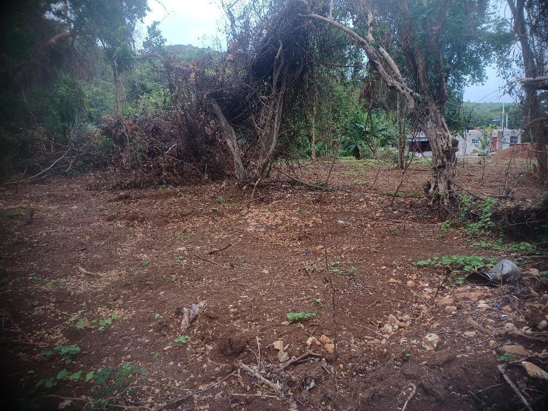 Third image of 217 Calypso Close Duncan's ba in DUNCAN BAY, Trelawny, Jamaica - property is For Sale