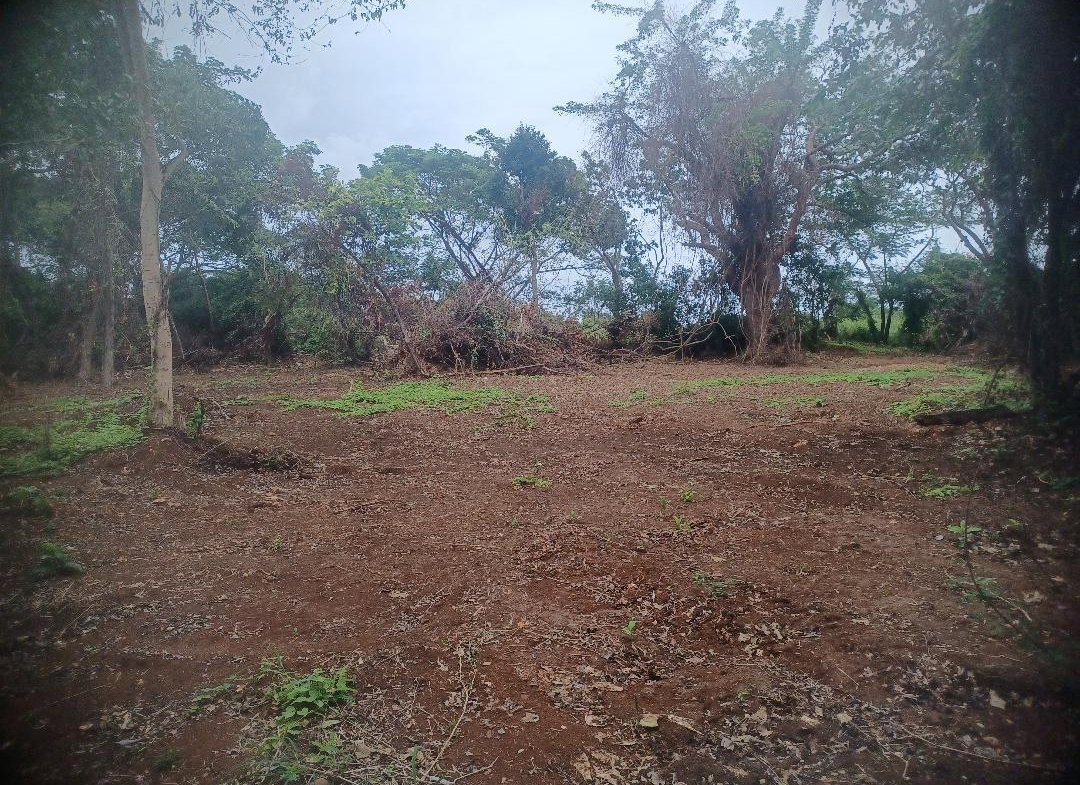 Fourth image of 217 Calypso Close Duncan's ba in DUNCAN BAY, Trelawny, Jamaica - property is For Sale