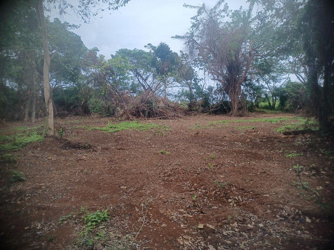 Fourth image of 217 Calypso Close Duncan's ba in DUNCAN BAY, Trelawny, Jamaica - property is For Sale