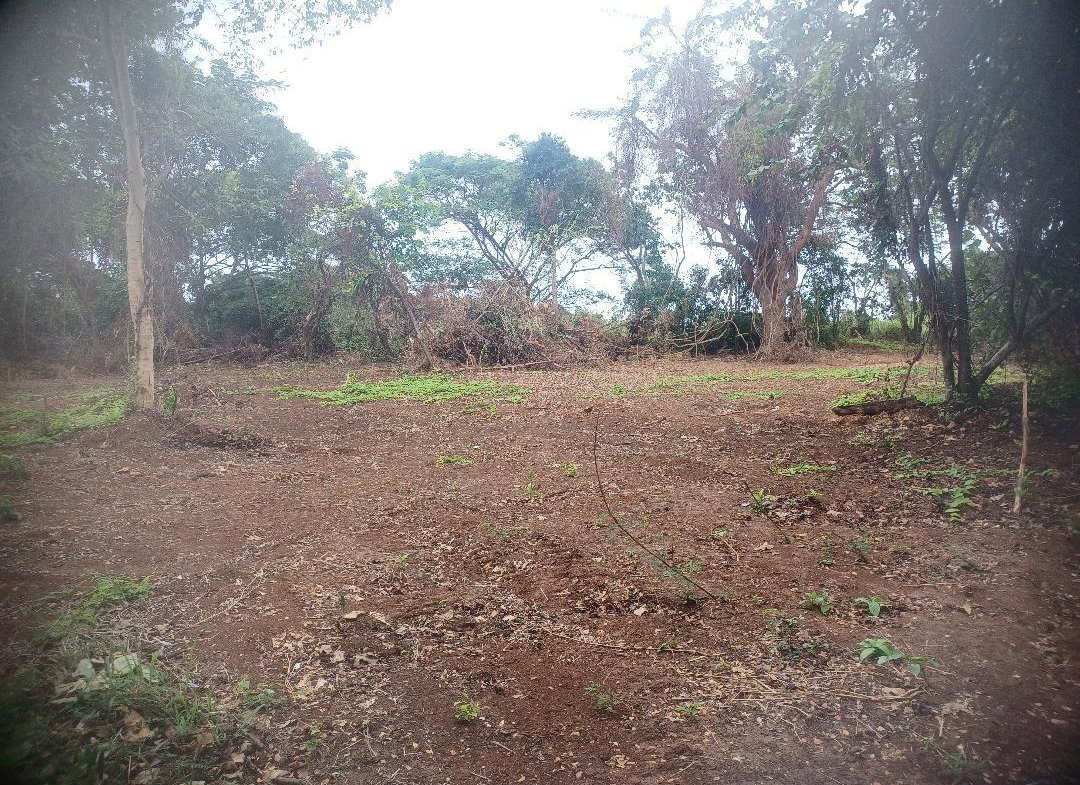 Fifth image of 217 Calypso Close Duncan's ba in DUNCAN BAY, Trelawny, Jamaica - property is For Sale