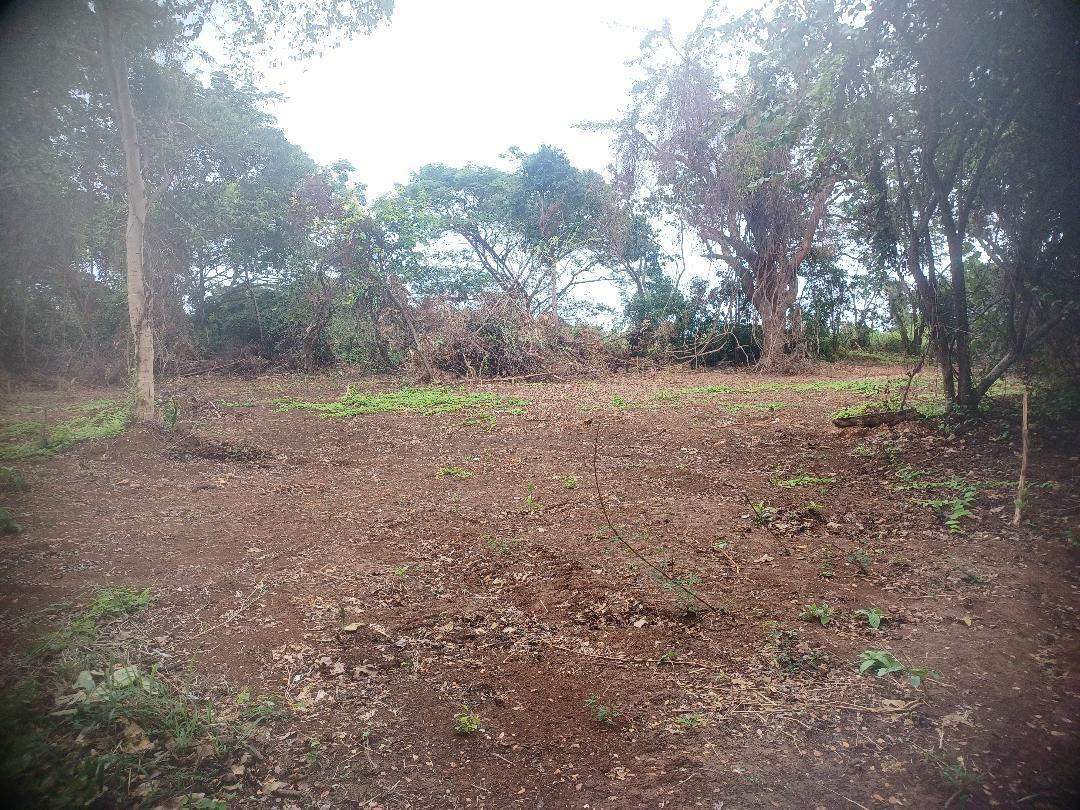 Fifth image of 217 Calypso Close Duncan's ba in DUNCAN BAY, Trelawny, Jamaica - property is For Sale