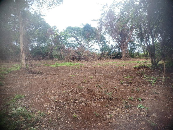 Fifth image of 217 Calypso Close Duncan's ba in DUNCAN BAY, Trelawny, Jamaica - property is For Sale