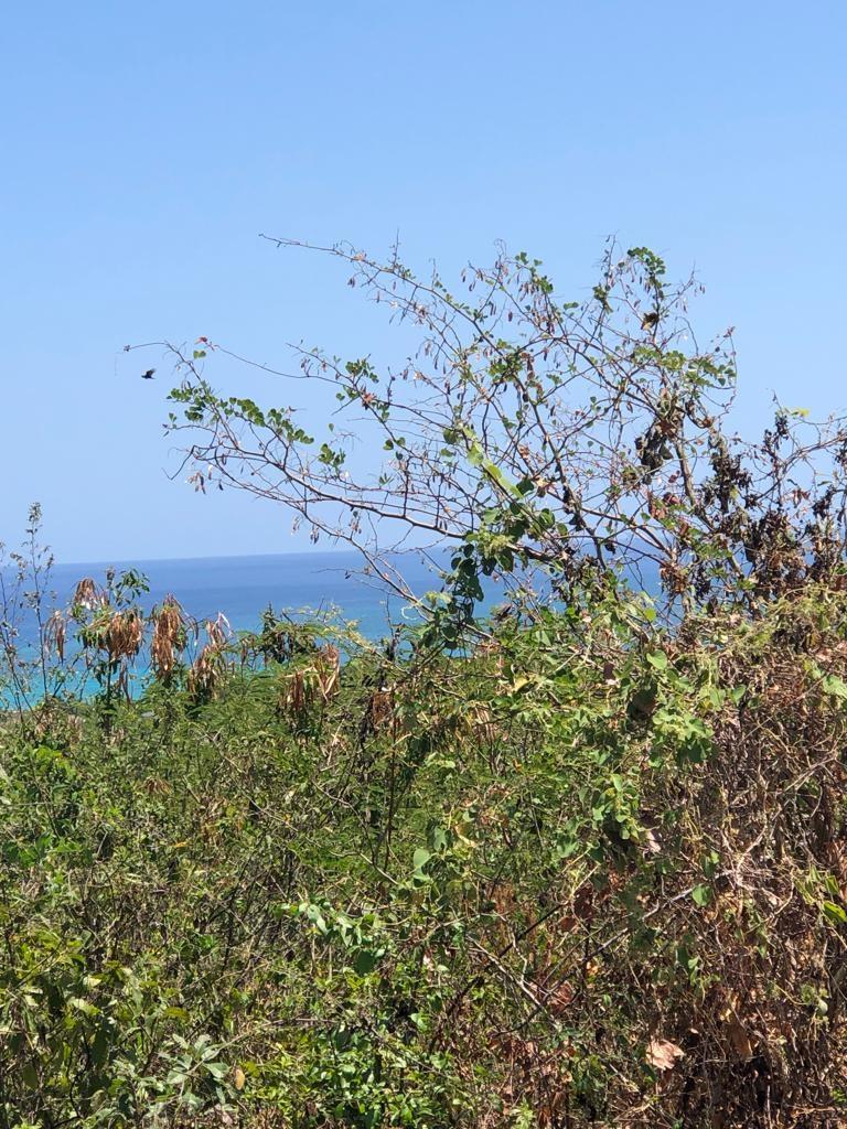 Fourth image of Lot 342 Ridge Way in DUNCAN BAY, Trelawny, Jamaica - property is For Sale
