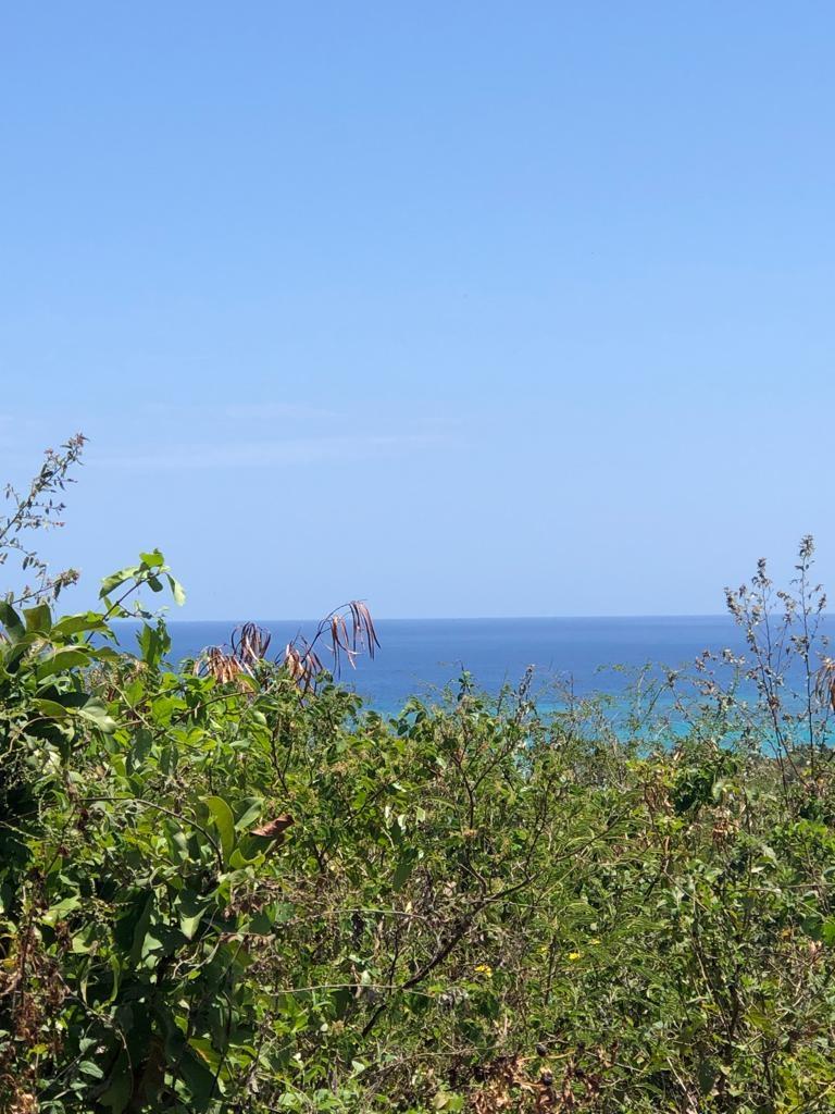 Fifth image of Lot 342 Ridge Way in DUNCAN BAY, Trelawny, Jamaica - property is For Sale