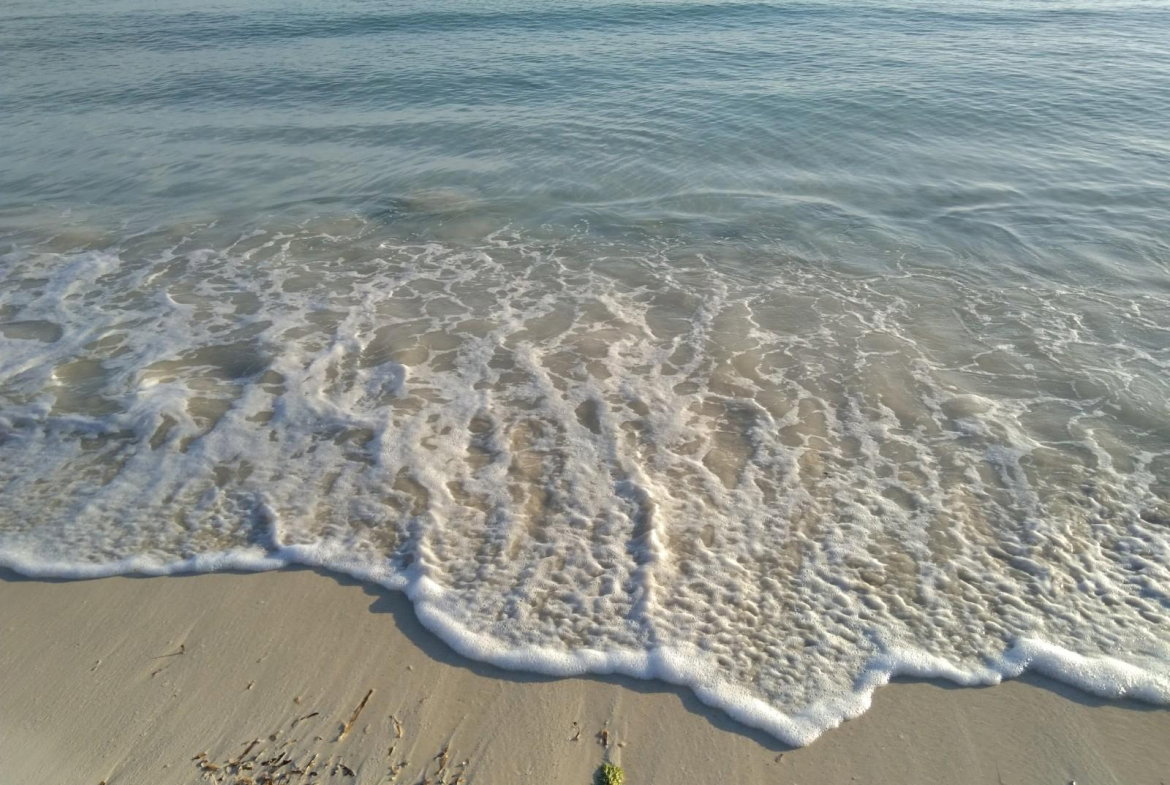 Sixth image of Lot 108 Point View in Duncans, Trelawny, Jamaica - property is For Sale