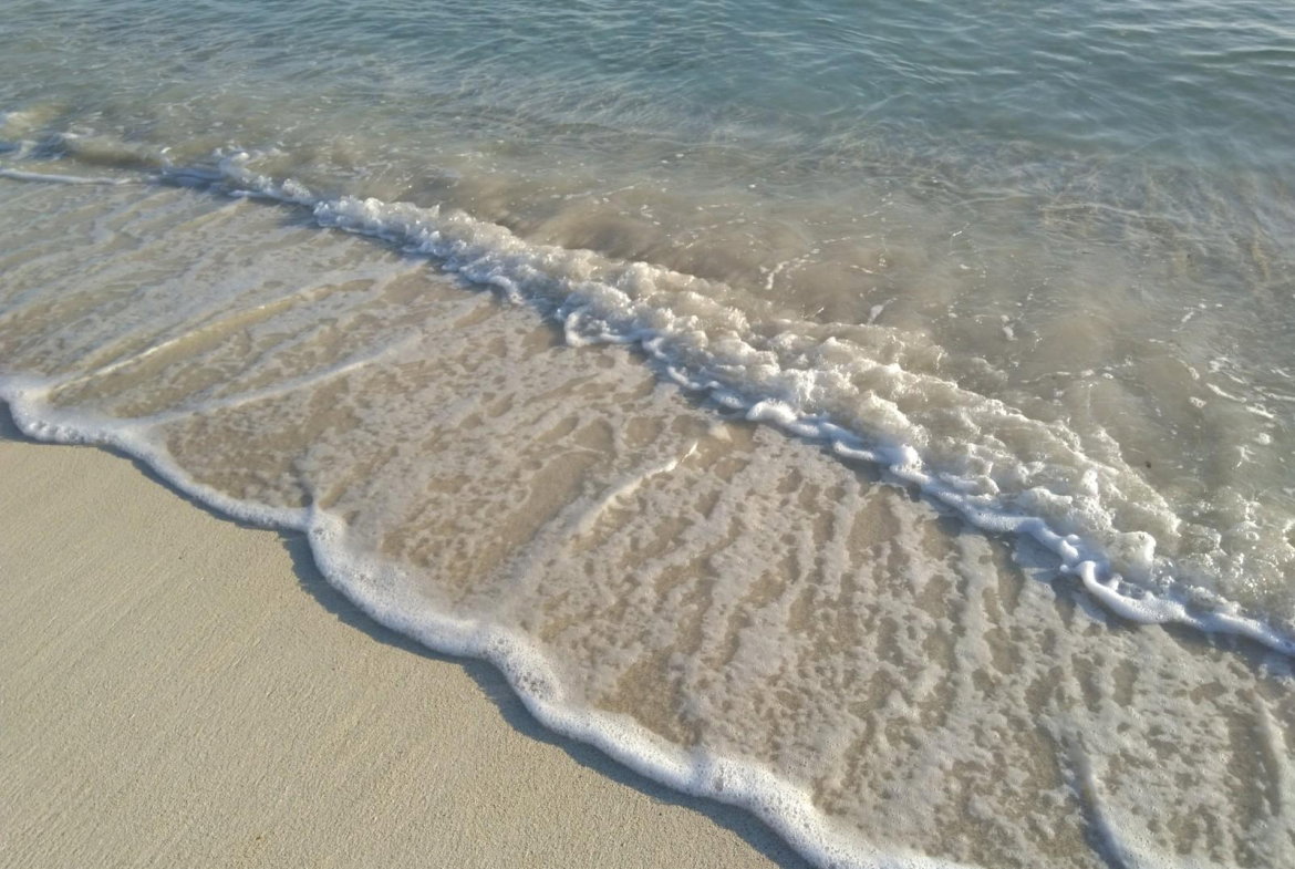 Ninth image of Lot 108 Point View in Duncans, Trelawny, Jamaica - property is For Sale