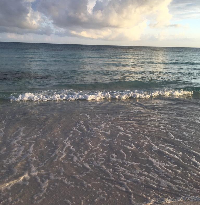 Second image of Lot 383- Trelawny Drive in Duncans, Trelawny, Jamaica - property is For Sale