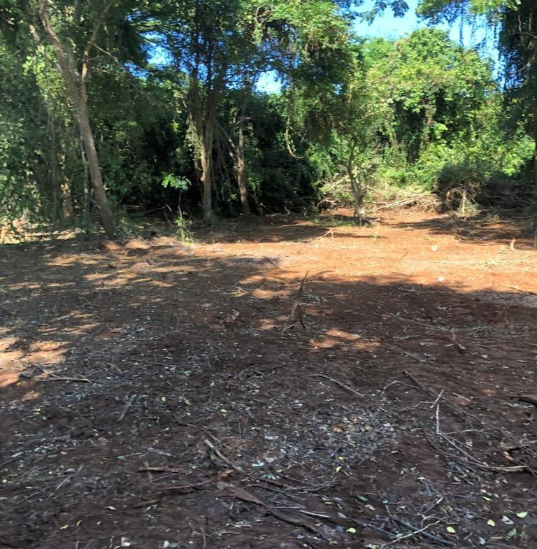 Fifth image of Lot 383- Trelawny Drive in Duncans, Trelawny, Jamaica - property is For Sale