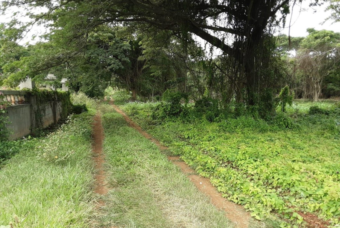 Sixth image of Lot 383- Trelawny Drive in Duncans, Trelawny, Jamaica - property is For Sale
