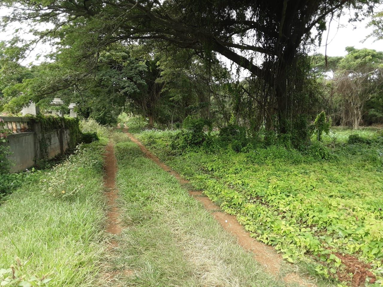 Sixth image of Lot 383- Trelawny Drive in Duncans, Trelawny, Jamaica - property is For Sale