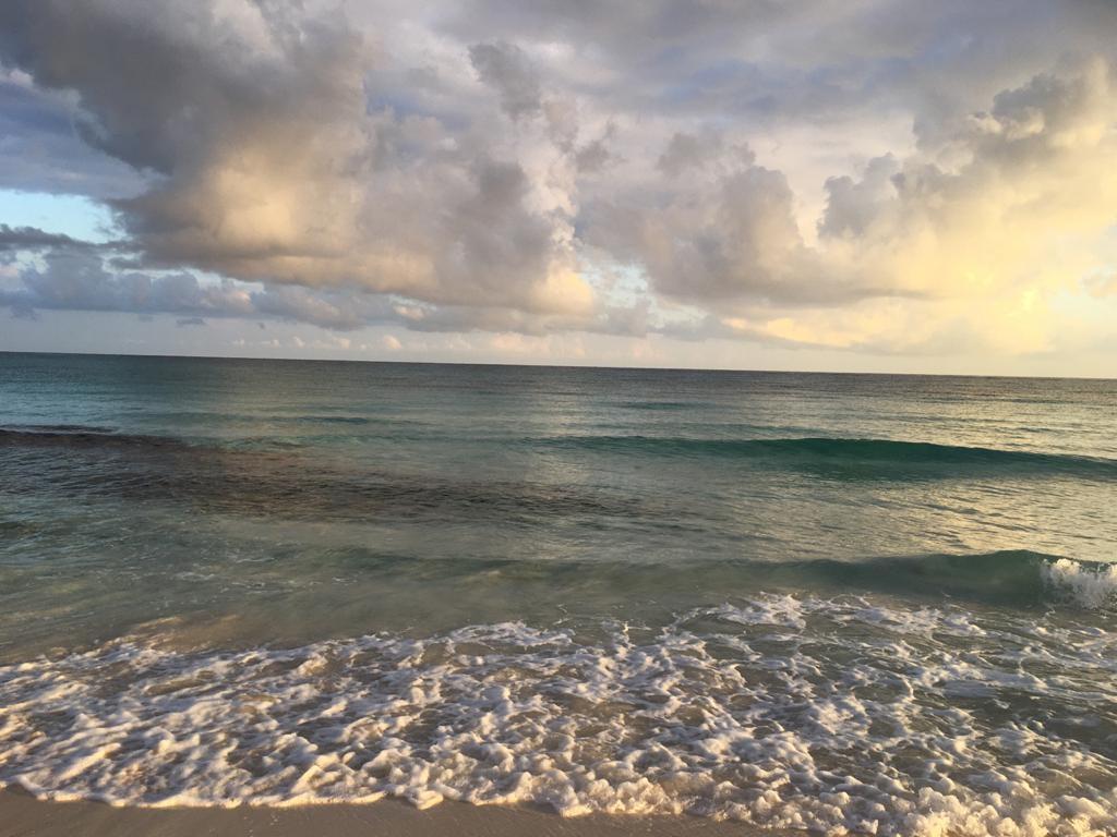 Seventh image of Lot 383- Trelawny Drive in Duncans, Trelawny, Jamaica - property is For Sale