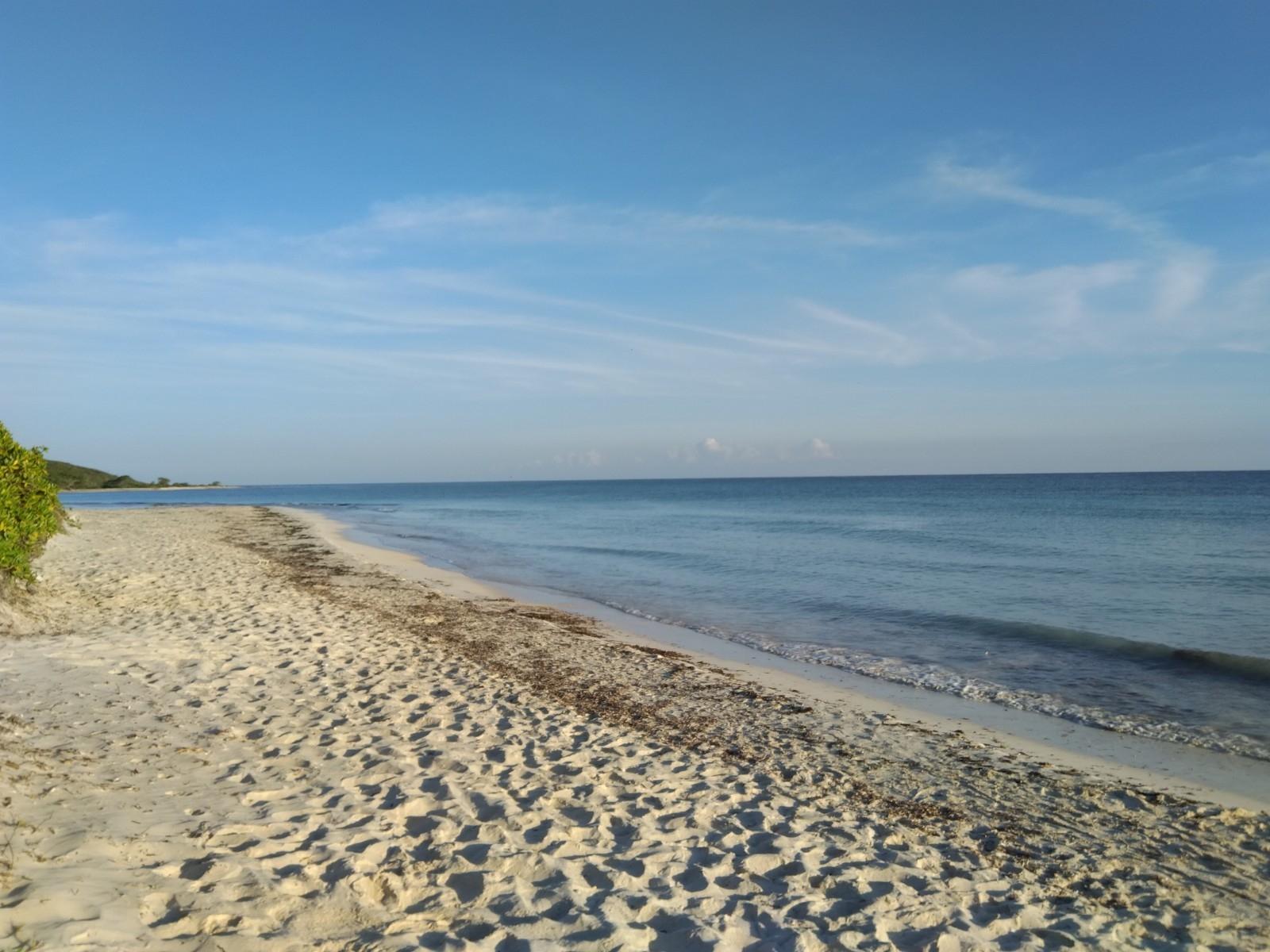 Residential-Lot-for-Sale-in-Duncans-Bay-Trelawny-–-Beach-Access-19405-Sq.Ft Ninth image of Lot 454 Marlins Way in DUNCAN BAY, Trelawny, Jamaica - property is For Sale