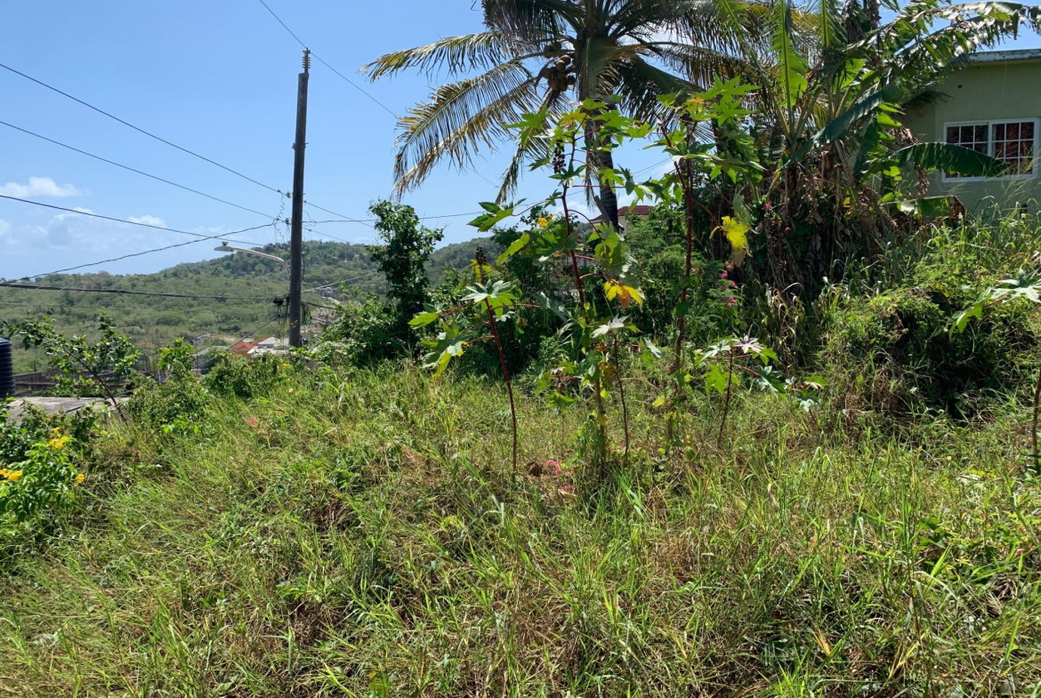 First image of Freedom Drive in DUNCANS HILL, Trelawny, Jamaica - property is For Sale