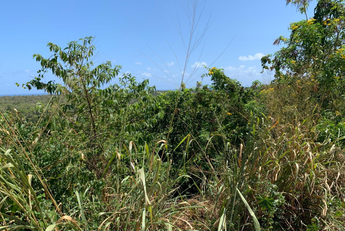 Fourth image of Freedom Drive in DUNCANS HILL, Trelawny, Jamaica - property is For Sale