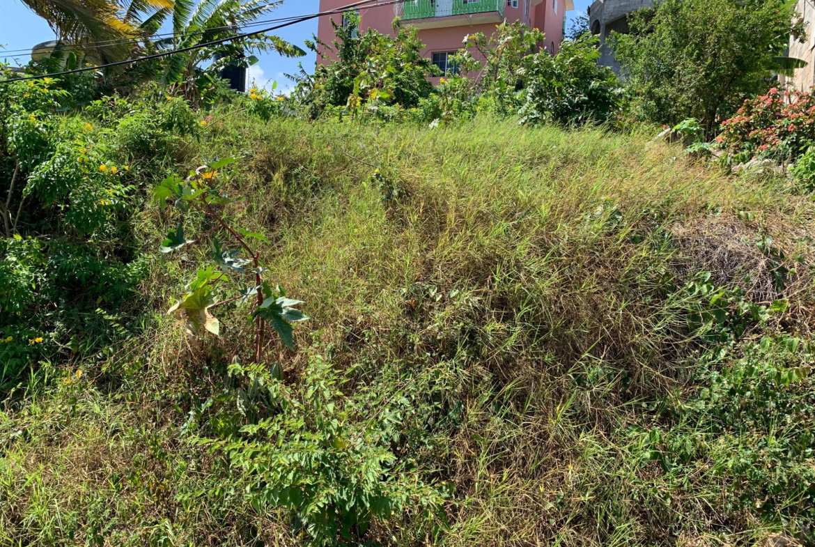 Eighth image of Freedom Drive in DUNCANS HILL, Trelawny, Jamaica - property is For Sale