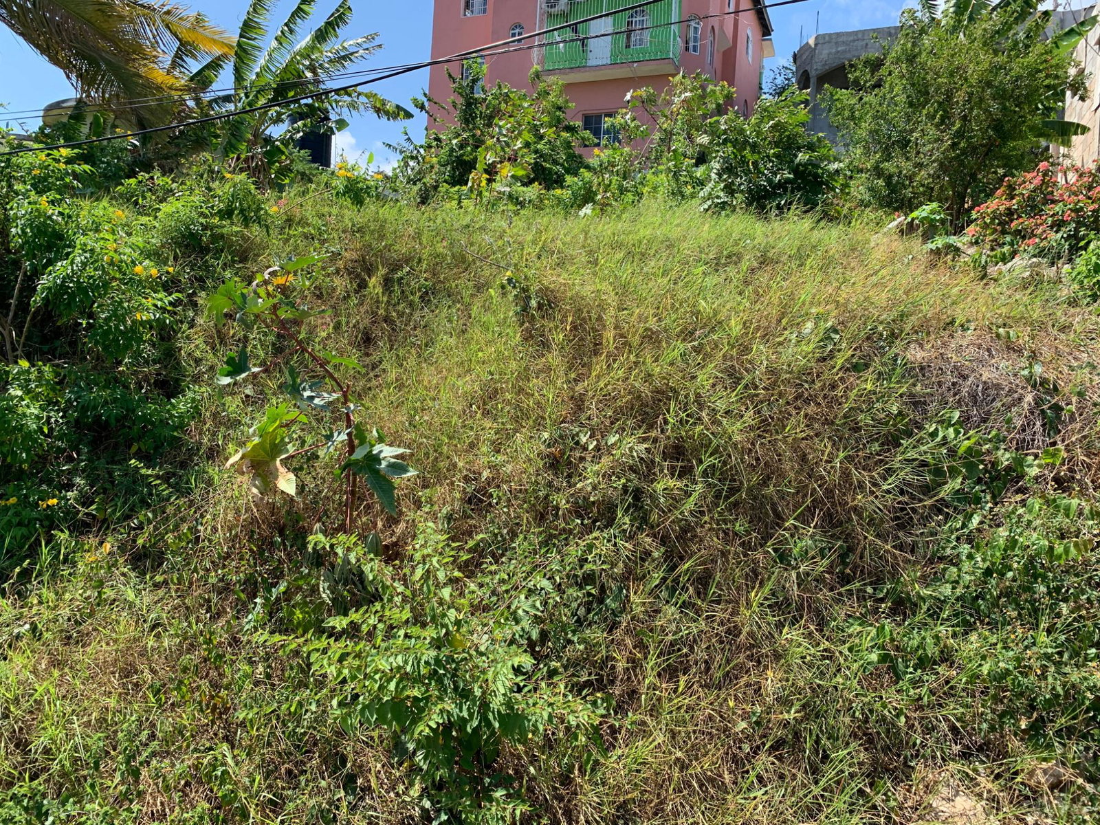 Eighth image of Freedom Drive in DUNCANS HILL, Trelawny, Jamaica - property is For Sale