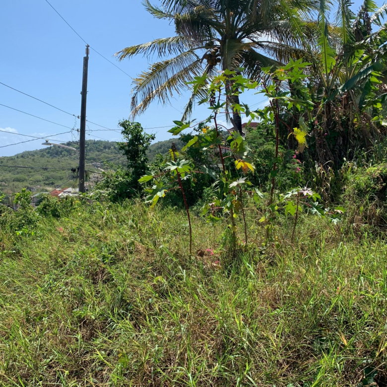 First image of Freedom Drive in DUNCANS HILL, Trelawny, Jamaica - property is For Sale