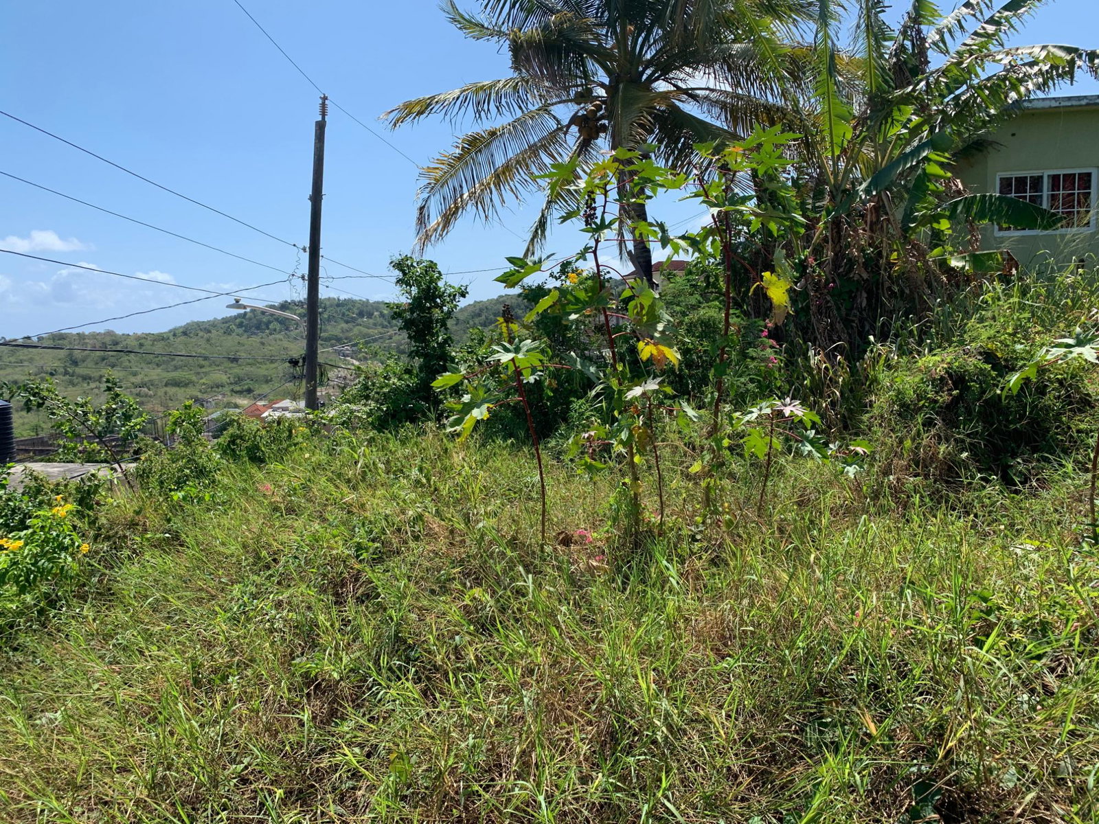 First image of Freedom Drive in DUNCANS HILL, Trelawny, Jamaica - property is For Sale