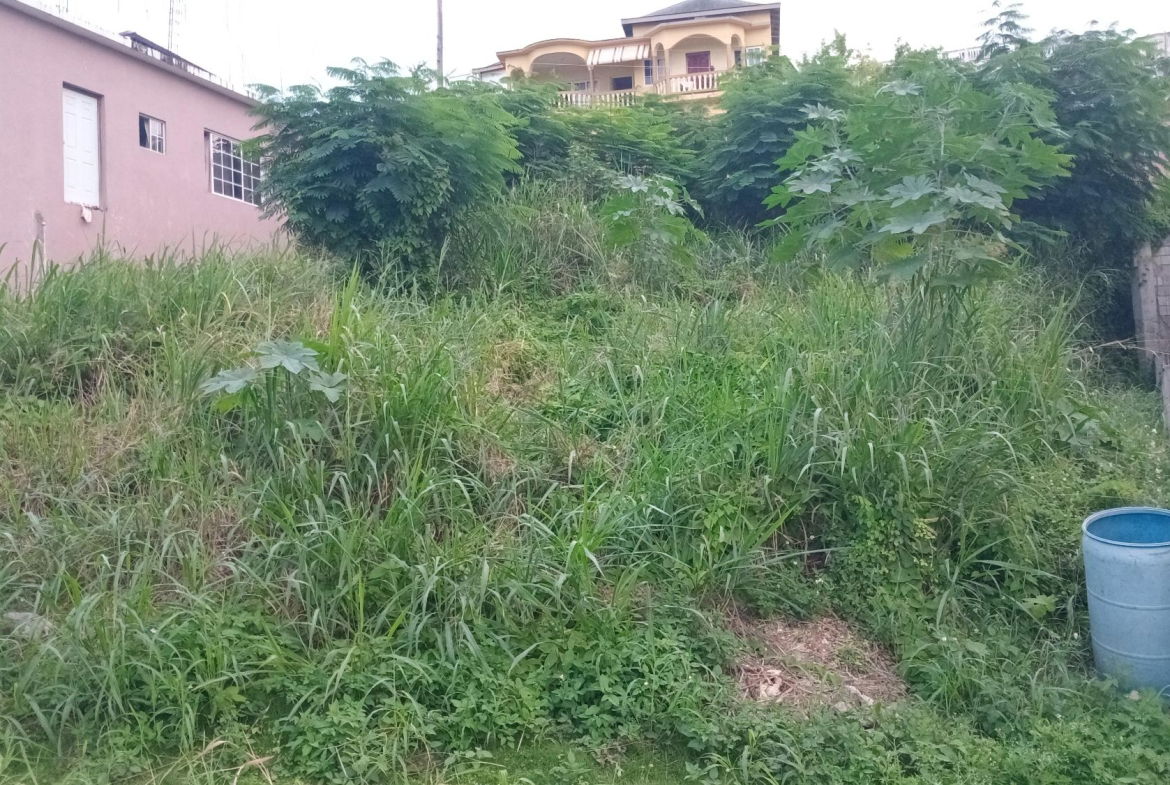 First image of Lot-723 Colonial Drive in Duncans, Trelawny, Jamaica - property is For Sale