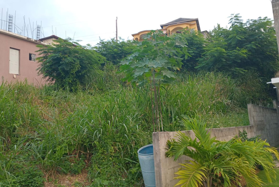 Fourth image of Lot-723 Colonial Drive in Duncans, Trelawny, Jamaica - property is For Sale