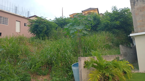Fourth image of Lot-723 Colonial Drive in Duncans, Trelawny, Jamaica - property is For Sale