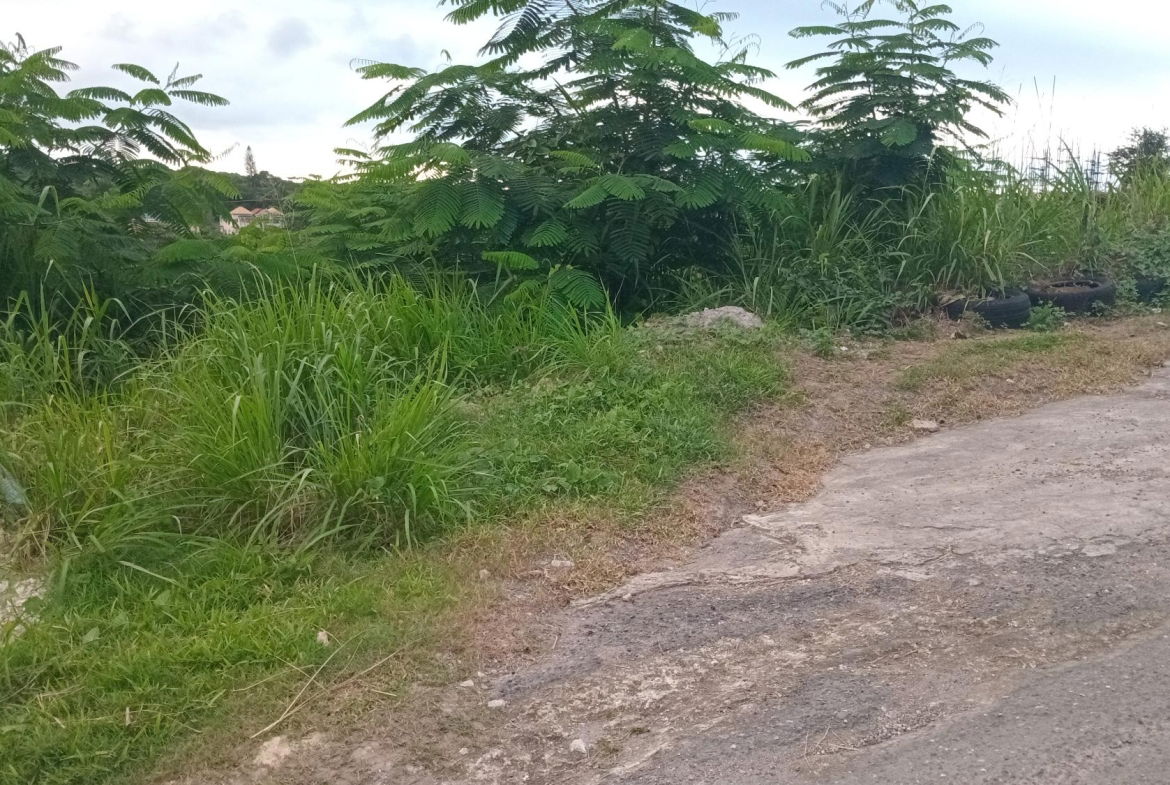 Fifth image of Lot-723 Colonial Drive in Duncans, Trelawny, Jamaica - property is For Sale