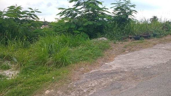 Fifth image of Lot-723 Colonial Drive in Duncans, Trelawny, Jamaica - property is For Sale