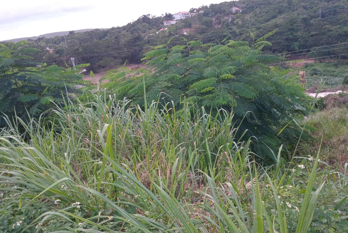Sixth image of Lot-723 Colonial Drive in Duncans, Trelawny, Jamaica - property is For Sale