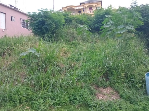 First image of Lot-723 Colonial Drive in Duncans, Trelawny, Jamaica - property is For Sale