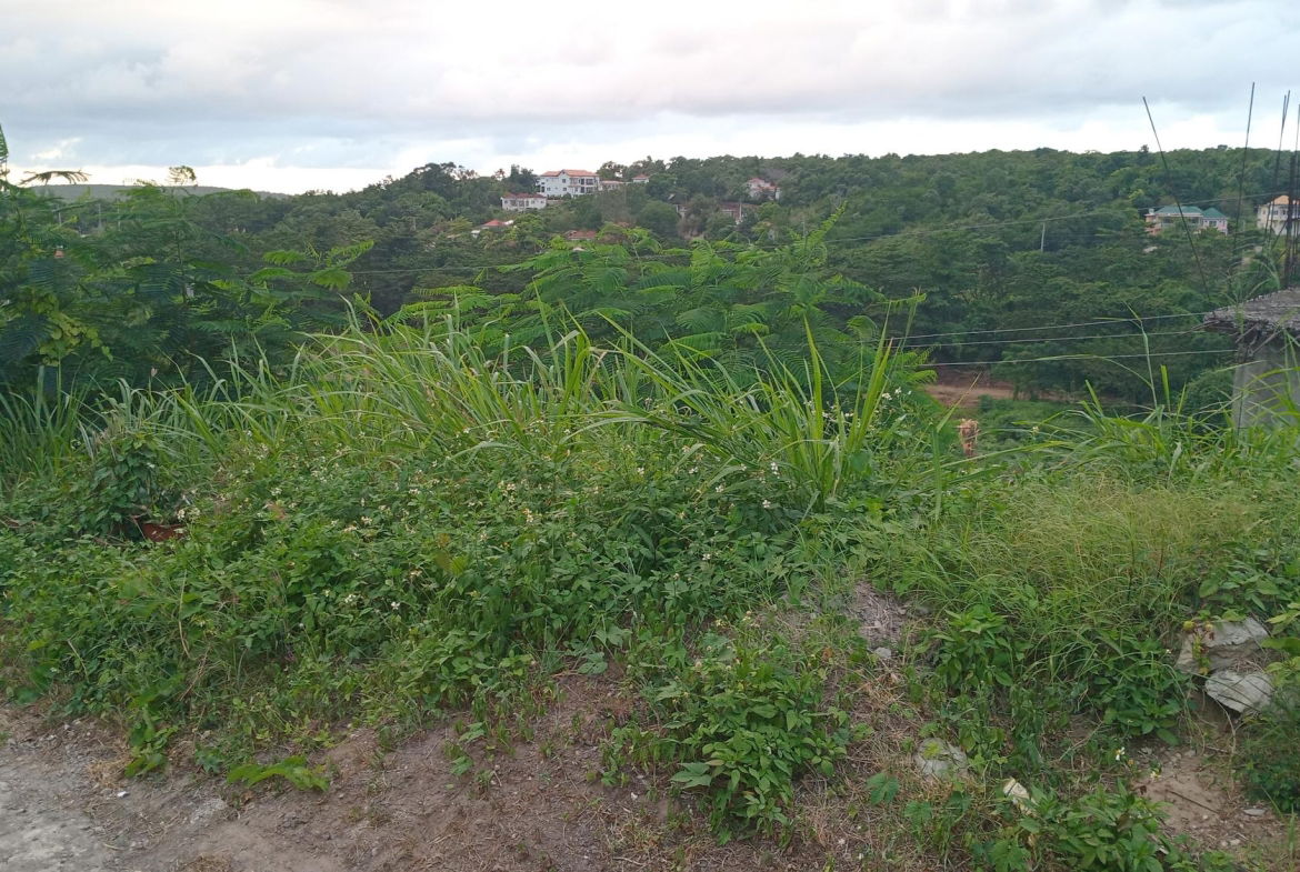 Seventh image of Lot-723 Colonial Drive in Duncans, Trelawny, Jamaica - property is For Sale