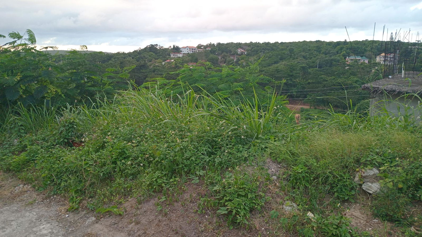 Seventh image of Lot-723 Colonial Drive in Duncans, Trelawny, Jamaica - property is For Sale