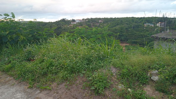 Seventh image of Lot-723 Colonial Drive in Duncans, Trelawny, Jamaica - property is For Sale