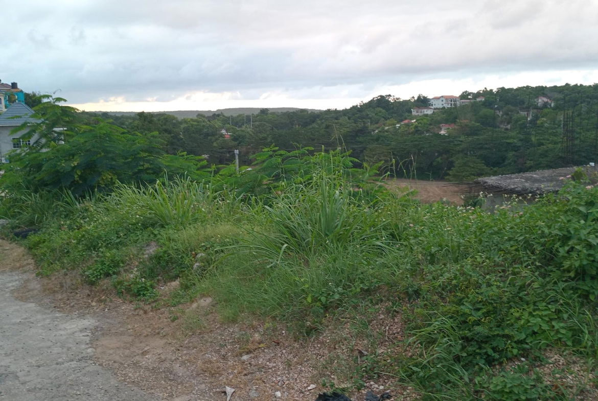 Eighth image of Lot-723 Colonial Drive in Duncans, Trelawny, Jamaica - property is For Sale