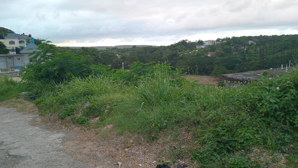 Eighth image of Lot-723 Colonial Drive in Duncans, Trelawny, Jamaica - property is For Sale