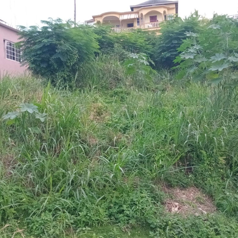 First image of Lot-723 Colonial Drive in Duncans, Trelawny, Jamaica - property is For Sale