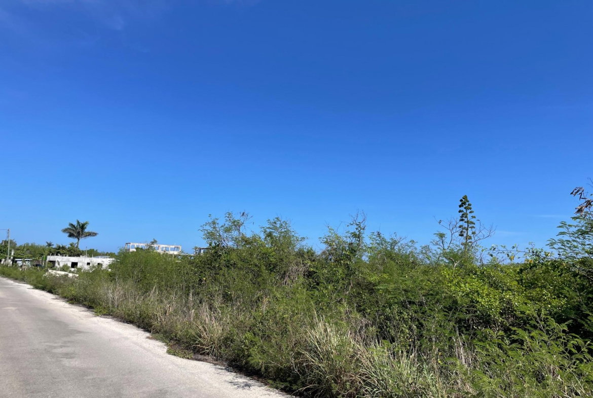 Second image of 112 Flamingo Beach in Falmouth, Trelawny, Jamaica - property is For Sale