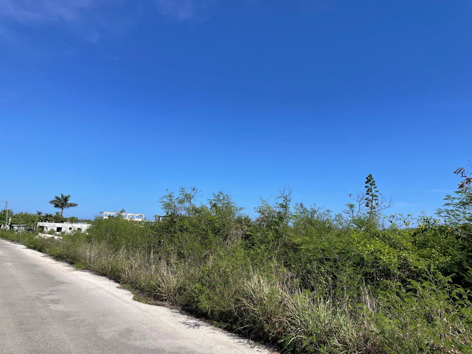 Second image of 112 Flamingo Beach in Falmouth, Trelawny, Jamaica - property is For Sale