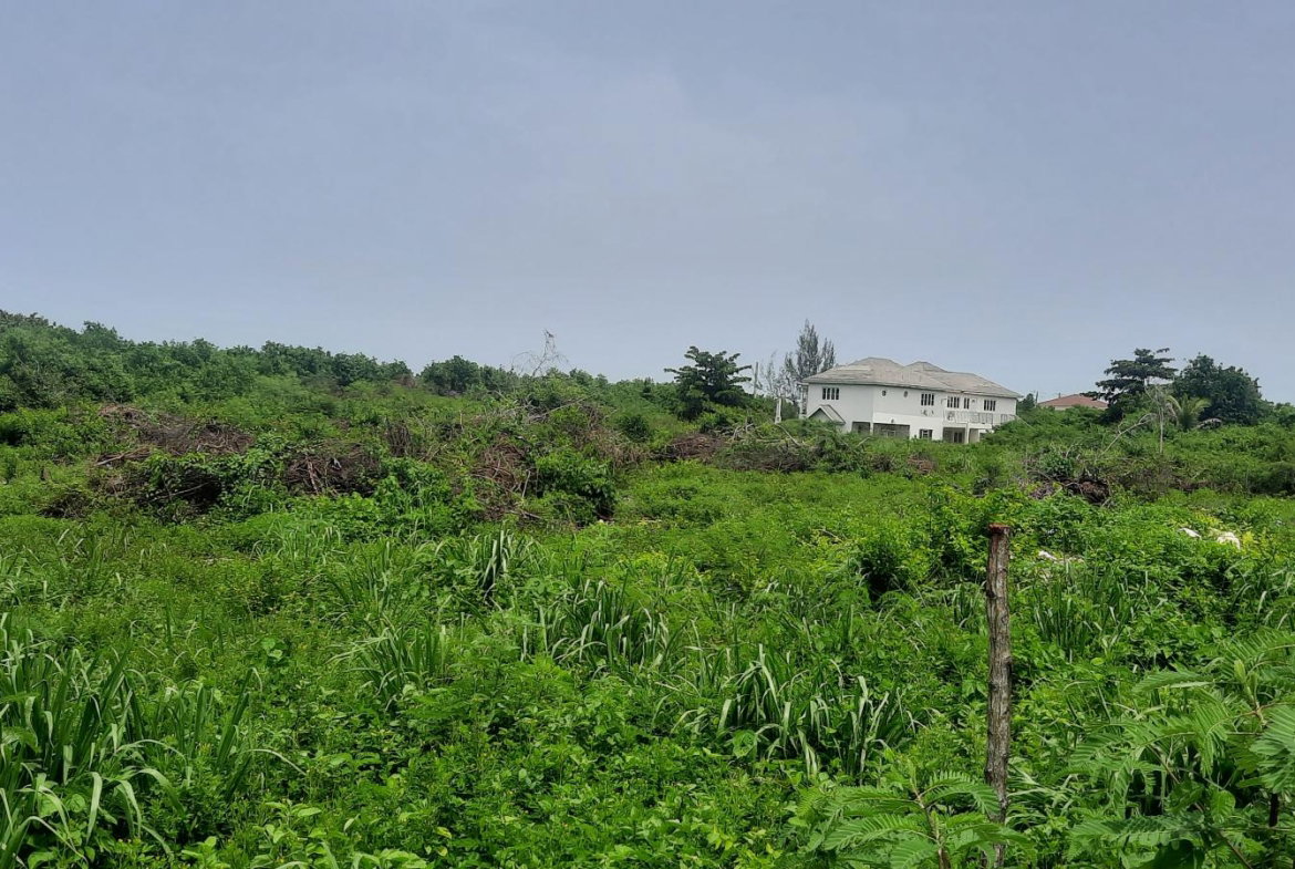 Eleventh image of 112 Flamingo Beach in Falmouth, Trelawny, Jamaica - property is For Sale