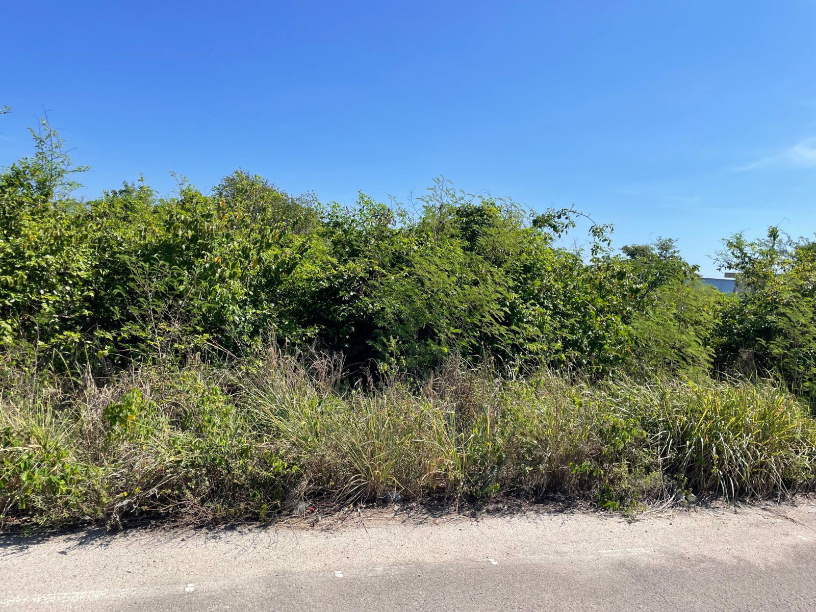 Fourth image of 112 Flamingo Beach in Falmouth, Trelawny, Jamaica - property is For Sale