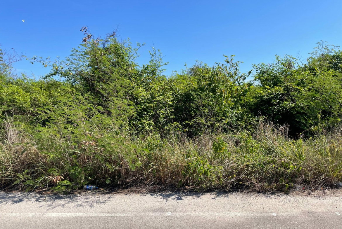 Fifth image of 112 Flamingo Beach in Falmouth, Trelawny, Jamaica - property is For Sale