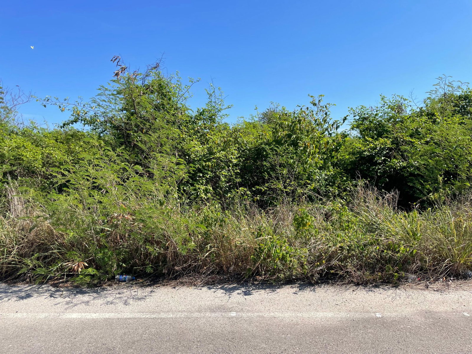 Fifth image of 112 Flamingo Beach in Falmouth, Trelawny, Jamaica - property is For Sale