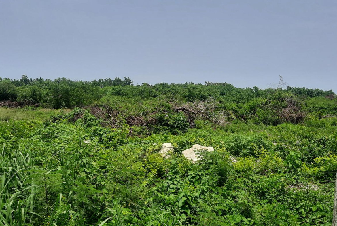 Eighth image of 112 Flamingo Beach in Falmouth, Trelawny, Jamaica - property is For Sale