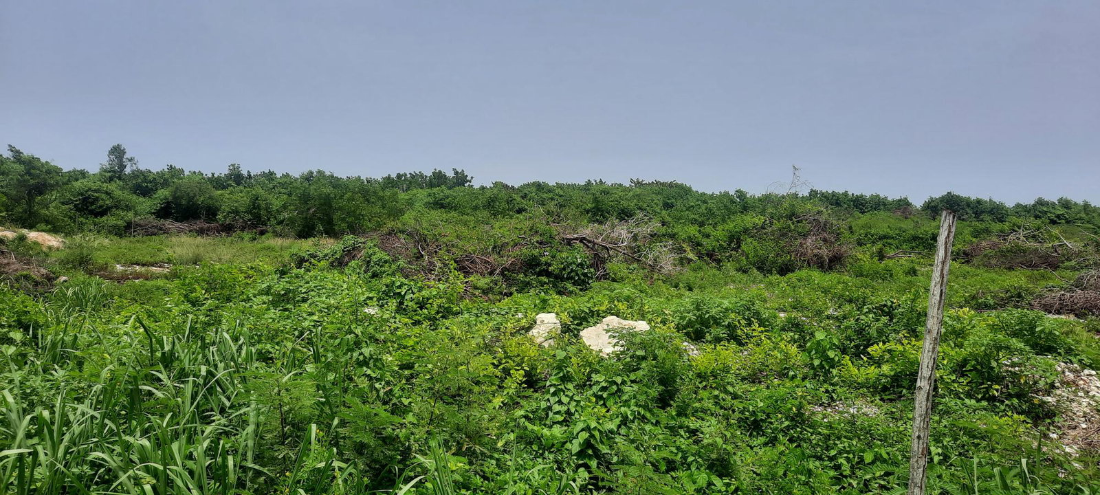 Eighth image of 112 Flamingo Beach in Falmouth, Trelawny, Jamaica - property is For Sale