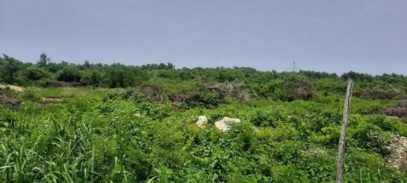 Eighth image of 112 Flamingo Beach in Falmouth, Trelawny, Jamaica - property is For Sale