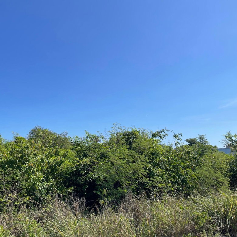 First image of 112 Flamingo Beach in Falmouth, Trelawny, Jamaica - property is For Sale