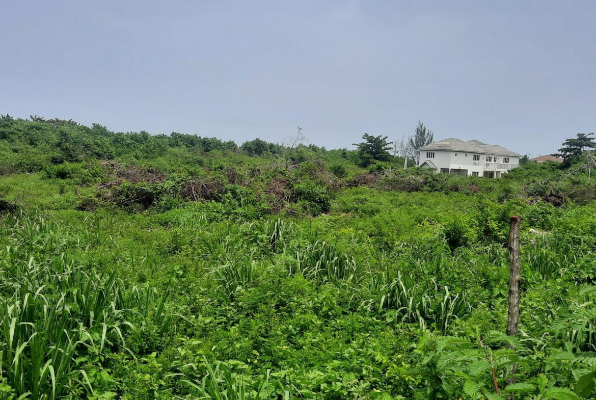 Tenth image of 112 Flamingo Beach in Falmouth, Trelawny, Jamaica - property is For Sale