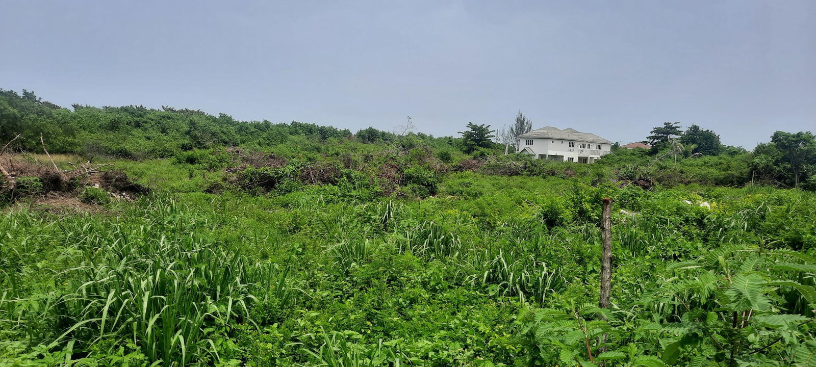 Tenth image of 112 Flamingo Beach in Falmouth, Trelawny, Jamaica - property is For Sale