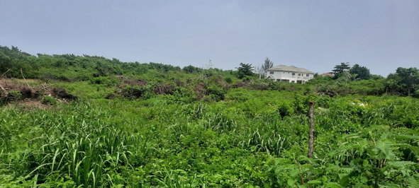 Tenth image of 112 Flamingo Beach in Falmouth, Trelawny, Jamaica - property is For Sale