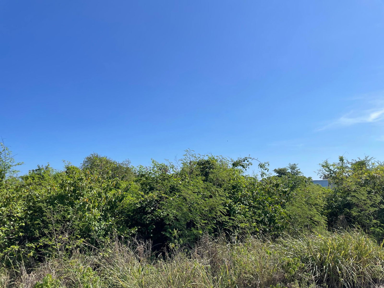 First image of 112 Flamingo Beach in Falmouth, Trelawny, Jamaica - property is For Sale